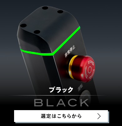 ブラック 選定はこちらから