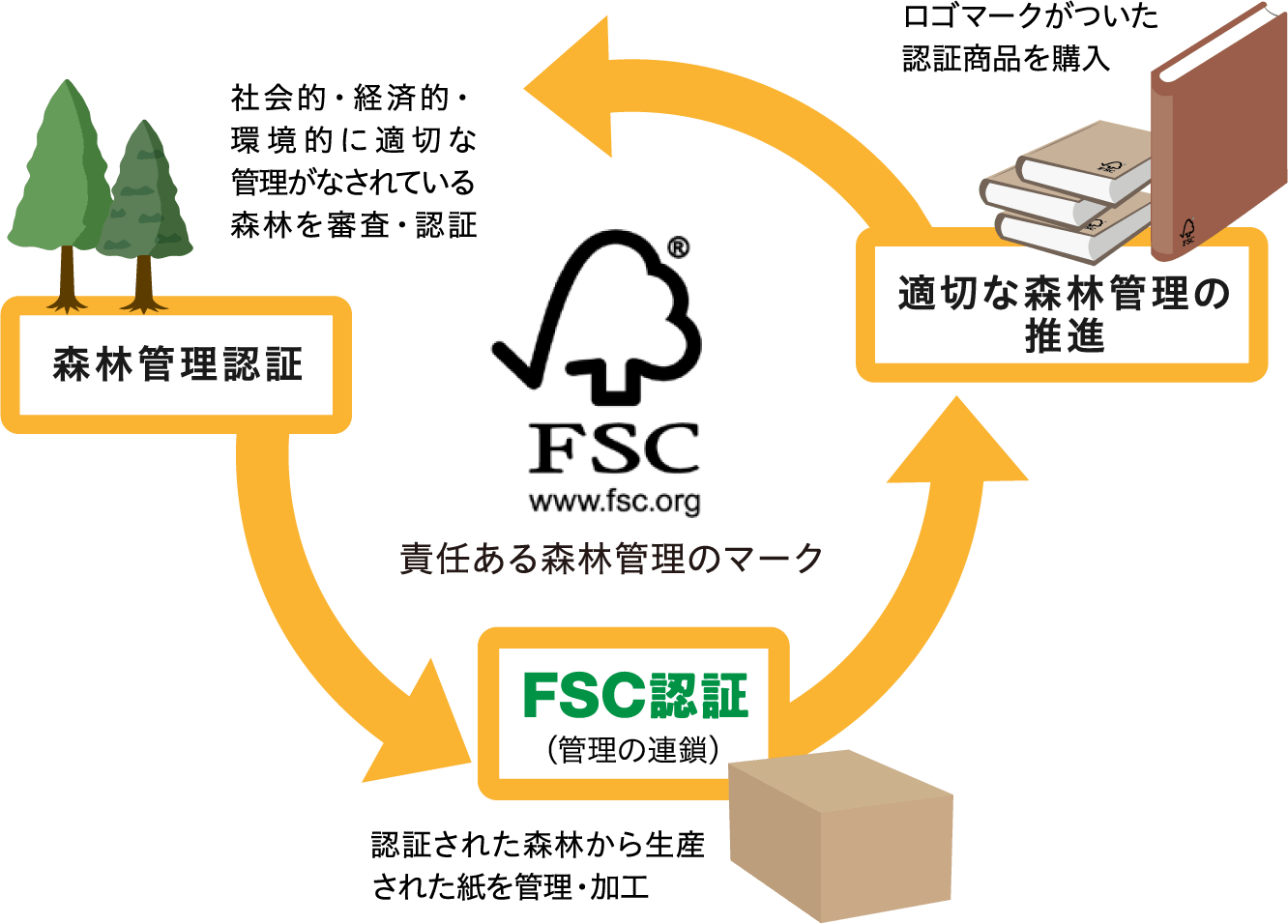 FSC 責任ある森林管理のマーク / 適切な森林管理の推進 ロゴマークがついた認証商品を購入 / 森林管理認証 社会的・経済的・環境的に適切な管理がなされている森林を審査・認証 / FSC認証（管理の連鎖） 認証された森林から生産された紙を管理・加工